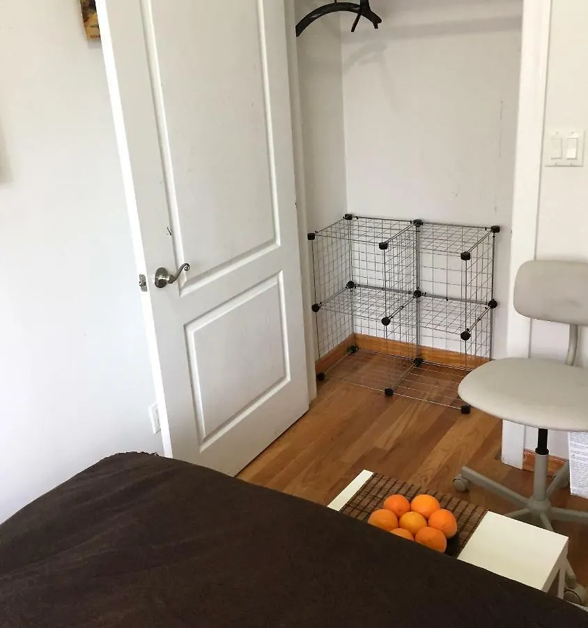 Brooklyn Artist Delight Apartment New York United States